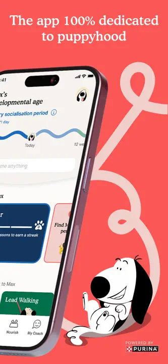 Zigzag: Screenshot 2 von 8
