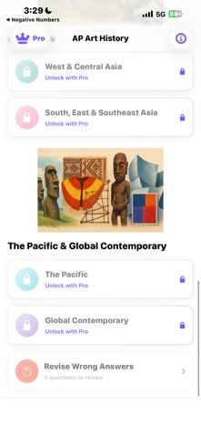 AP Art History Quiz & Notes iPhone screenshot