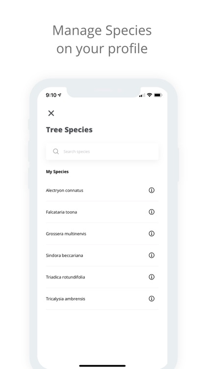 TreeMapper screenshot-4