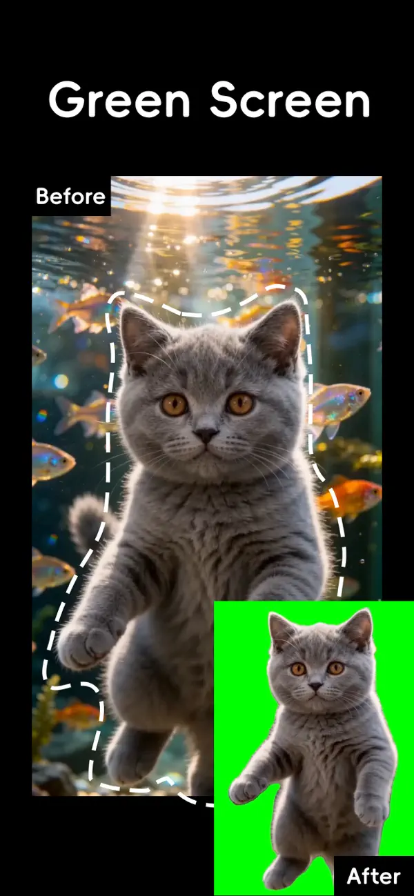 Screenshot #3 pour Baotu: Meme & VFX Video Editor