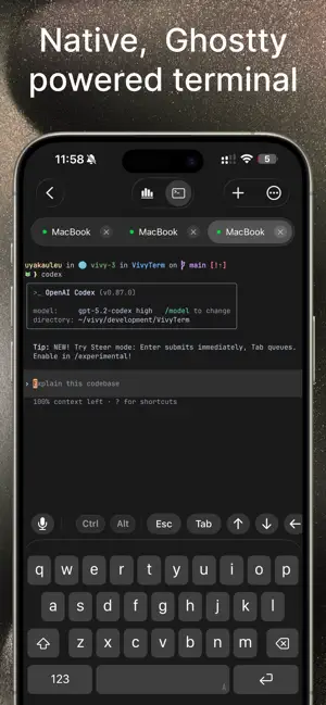 VVTerm: Native SSH Client iPhone screenshot 3