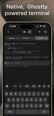VVTerm: 原生 SSH 客户端 screenshot