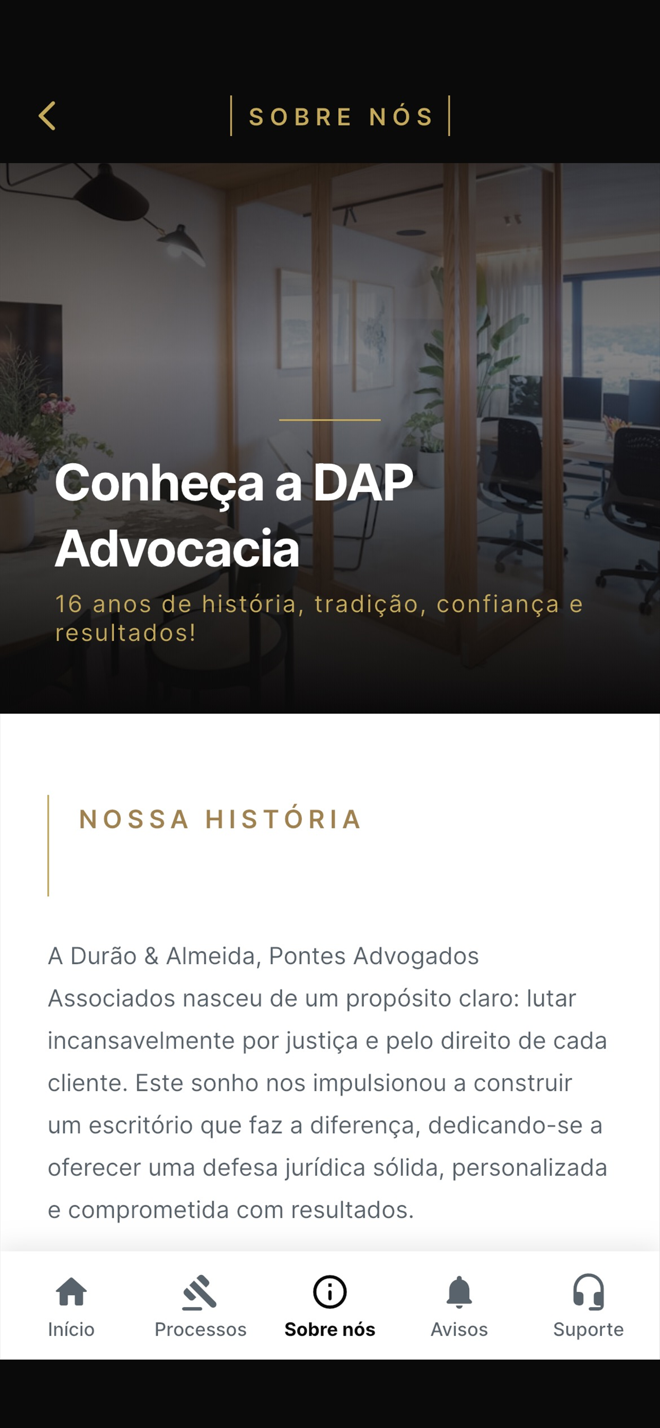 DAP Advocacia screenshot 5