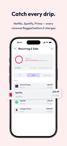 Pebbles - AI Money Manager Screenshot 5 of 6
