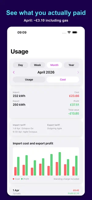 WattSaver for Octopus Energy screenshot 2