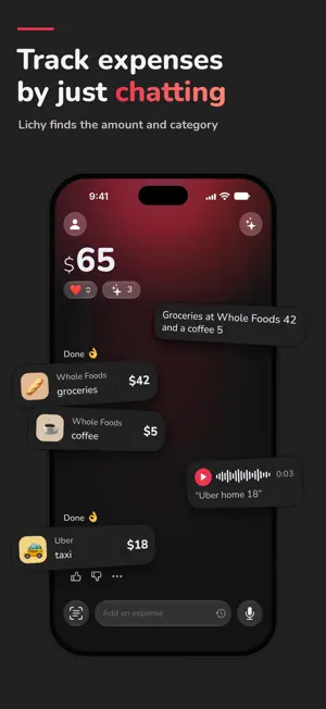 Money & Expense Tracker: Lichy screenshot 2