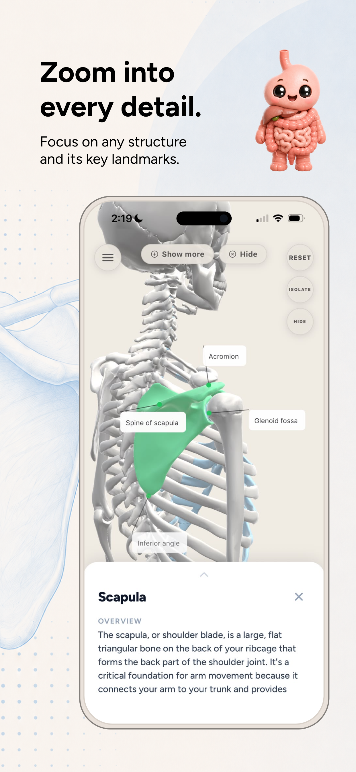 Anato - Learn Anatomy Fast screenshot 4
