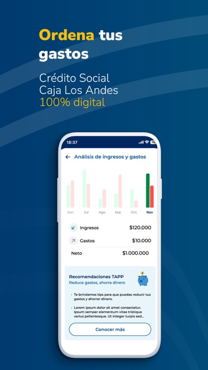 Tapp de Caja Los Andes