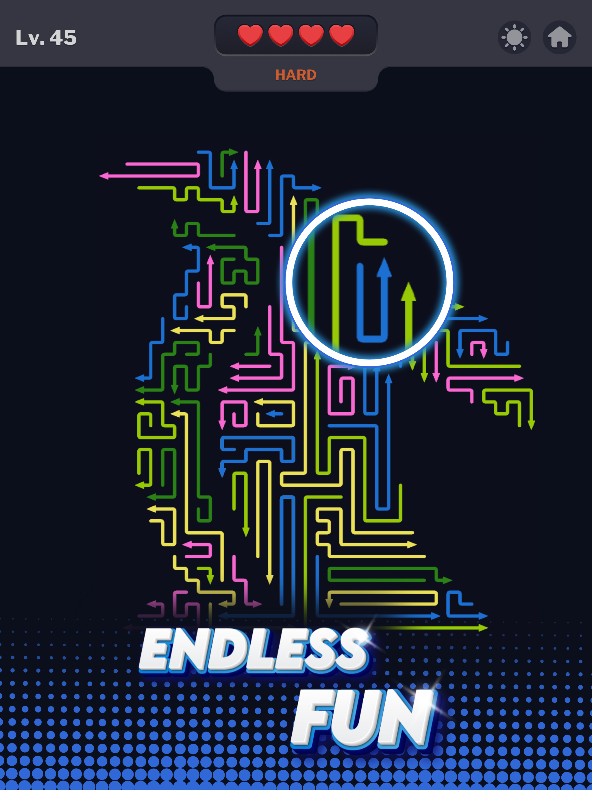 Maze Madness - Brain Puzzle