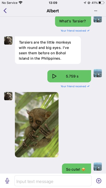 Tarsier - Secure Chat