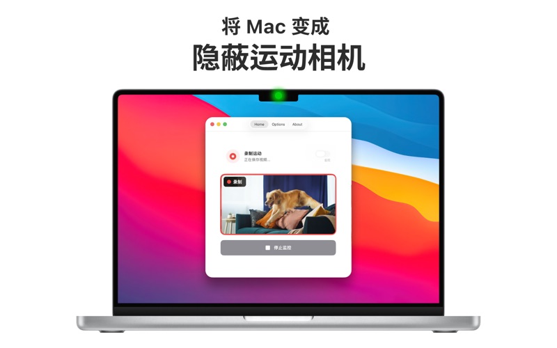 SP Cam：专业监控软件 screenshot
