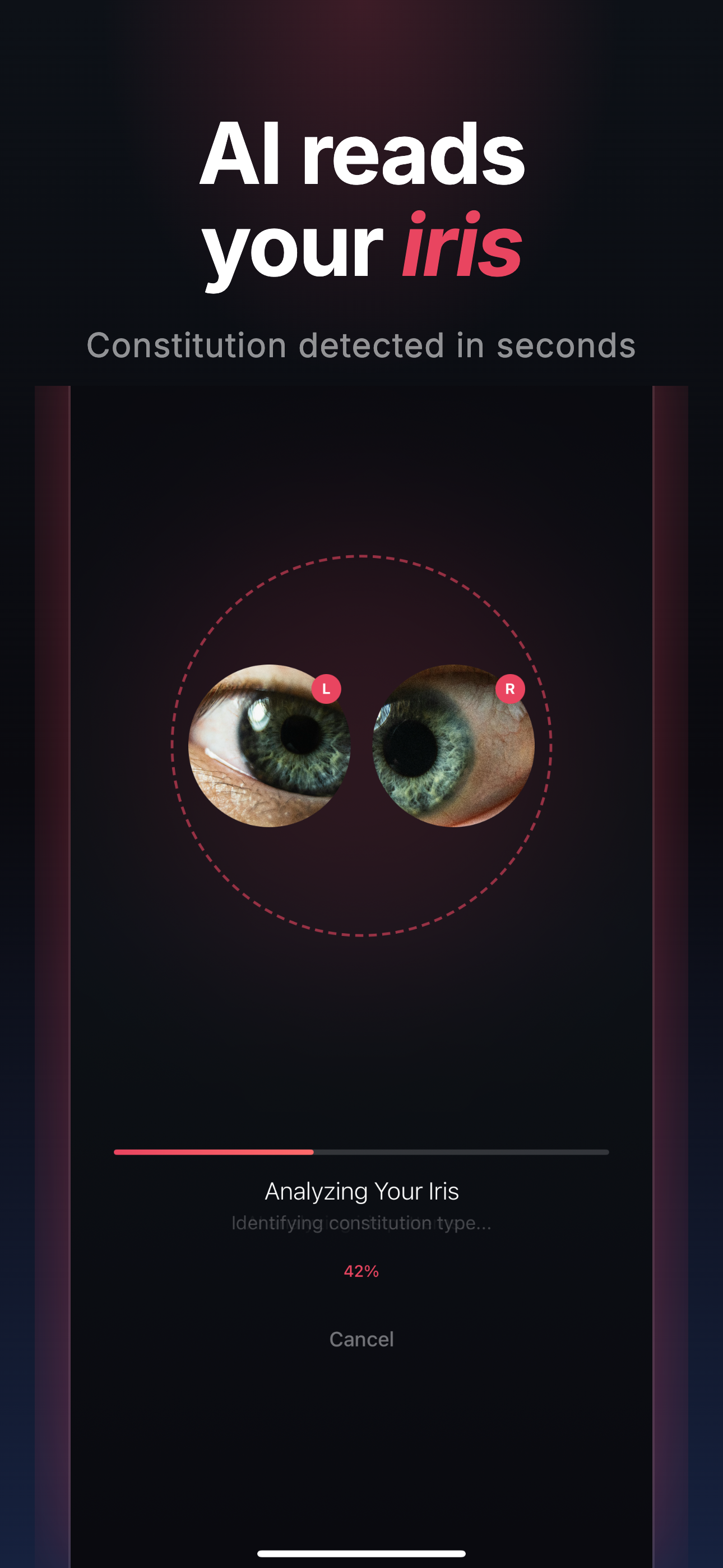 IrisInsight - Iridology AI screenshot 4