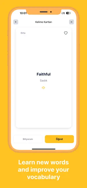 TopWords: +3000 English Words screenshot 3