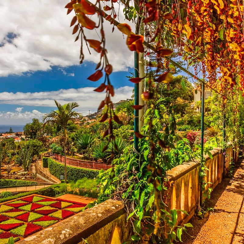 Magic Jigsaw Puzzles－Games HD screenshot 8