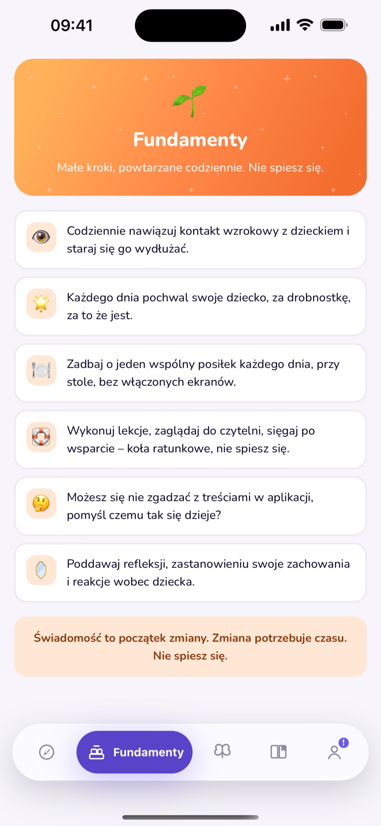 Screenshot 7 of Ferpave