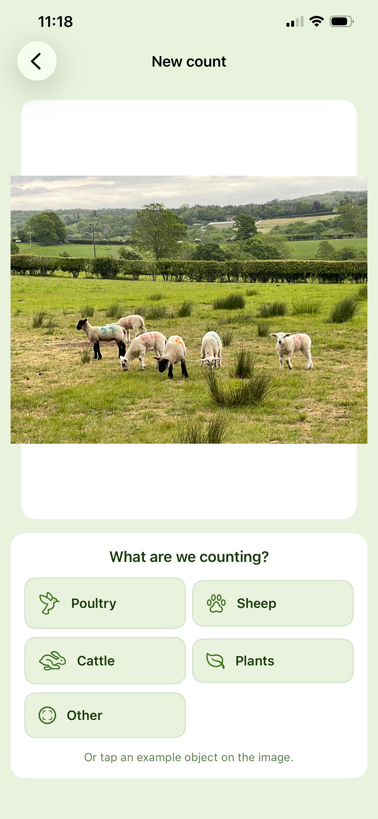 Herdcount