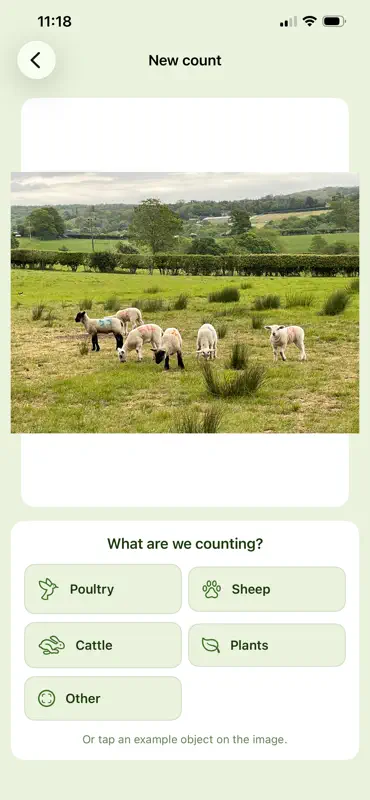 Herdcount: Livestock Counter screenshot 6 of 6