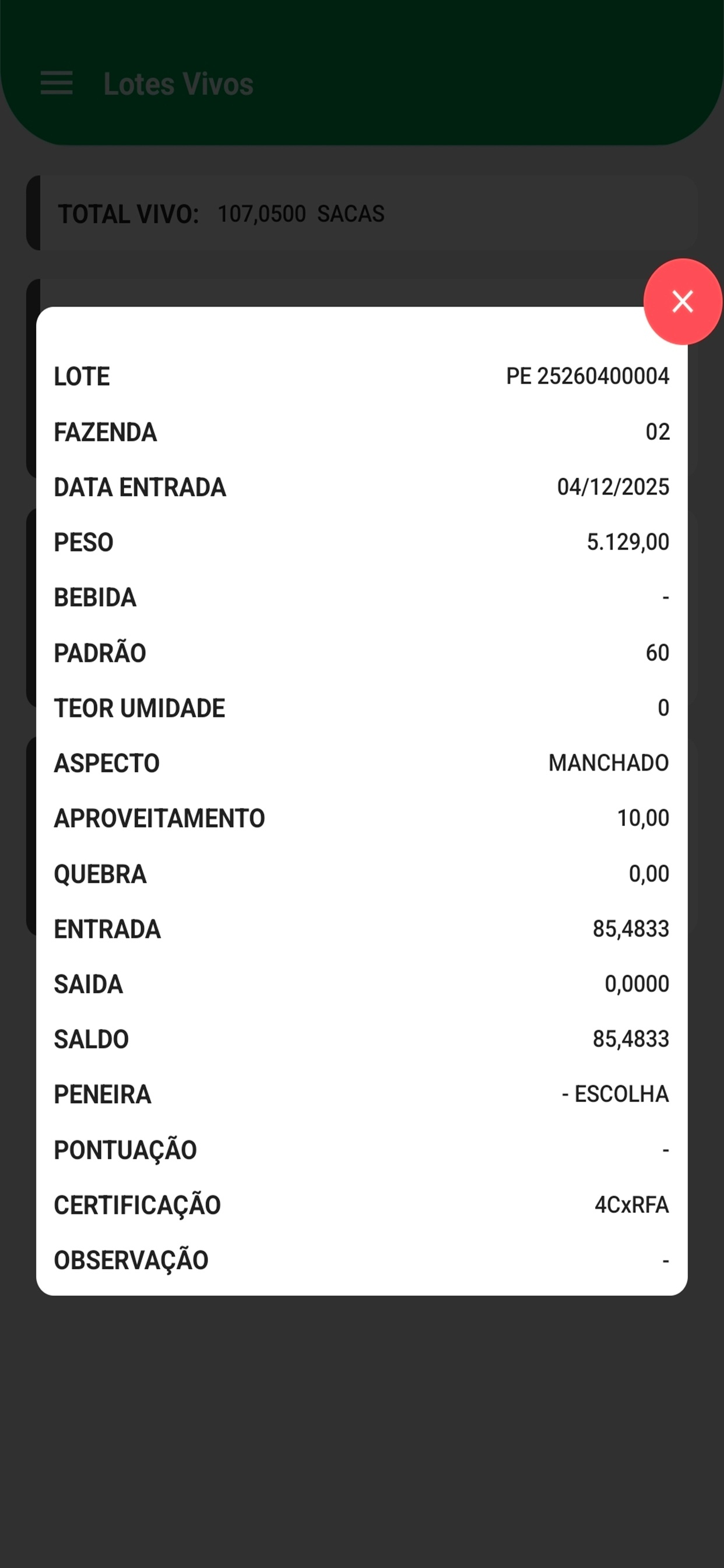 Minasul screenshot 8
