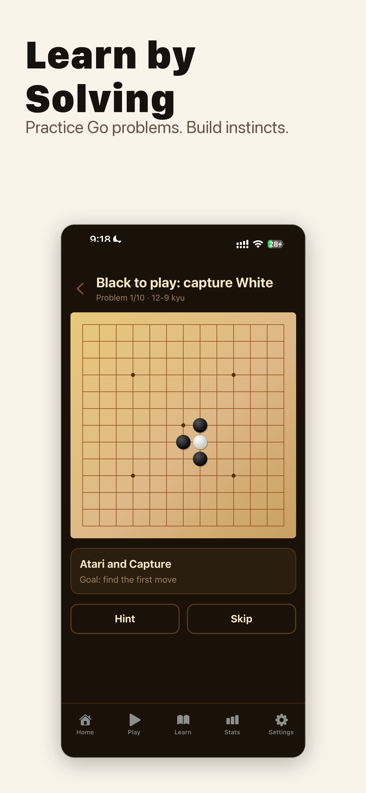Go AI: Offline On-Device AI