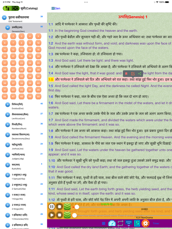 Screenshot #5 pour हिंदी अंग्रेजी ऑडियो बाइबिल