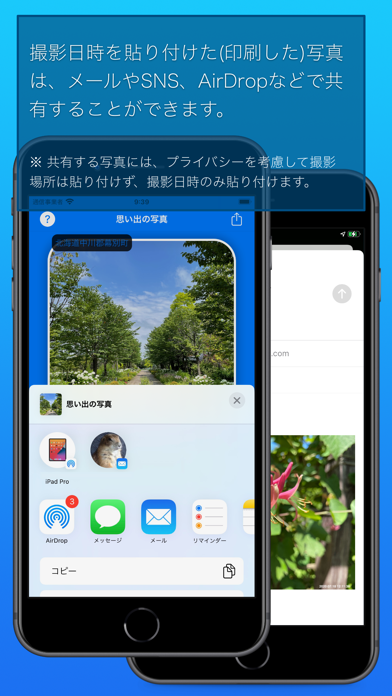 思い出の写真 Screenshot