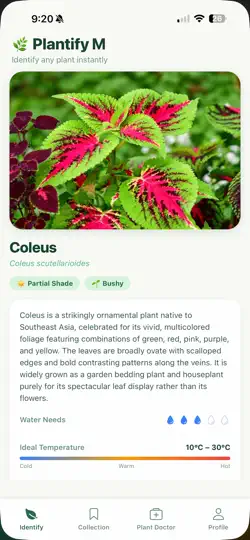 Screenshot von FloraHaven - Plantify auf dem iPhone 2