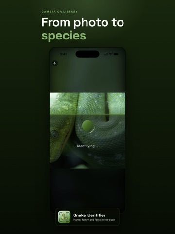 Snake Identifier & Venom ID iPad screenshot