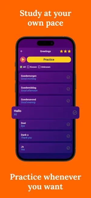 Learn Dutch (Beginners) screenshot 3