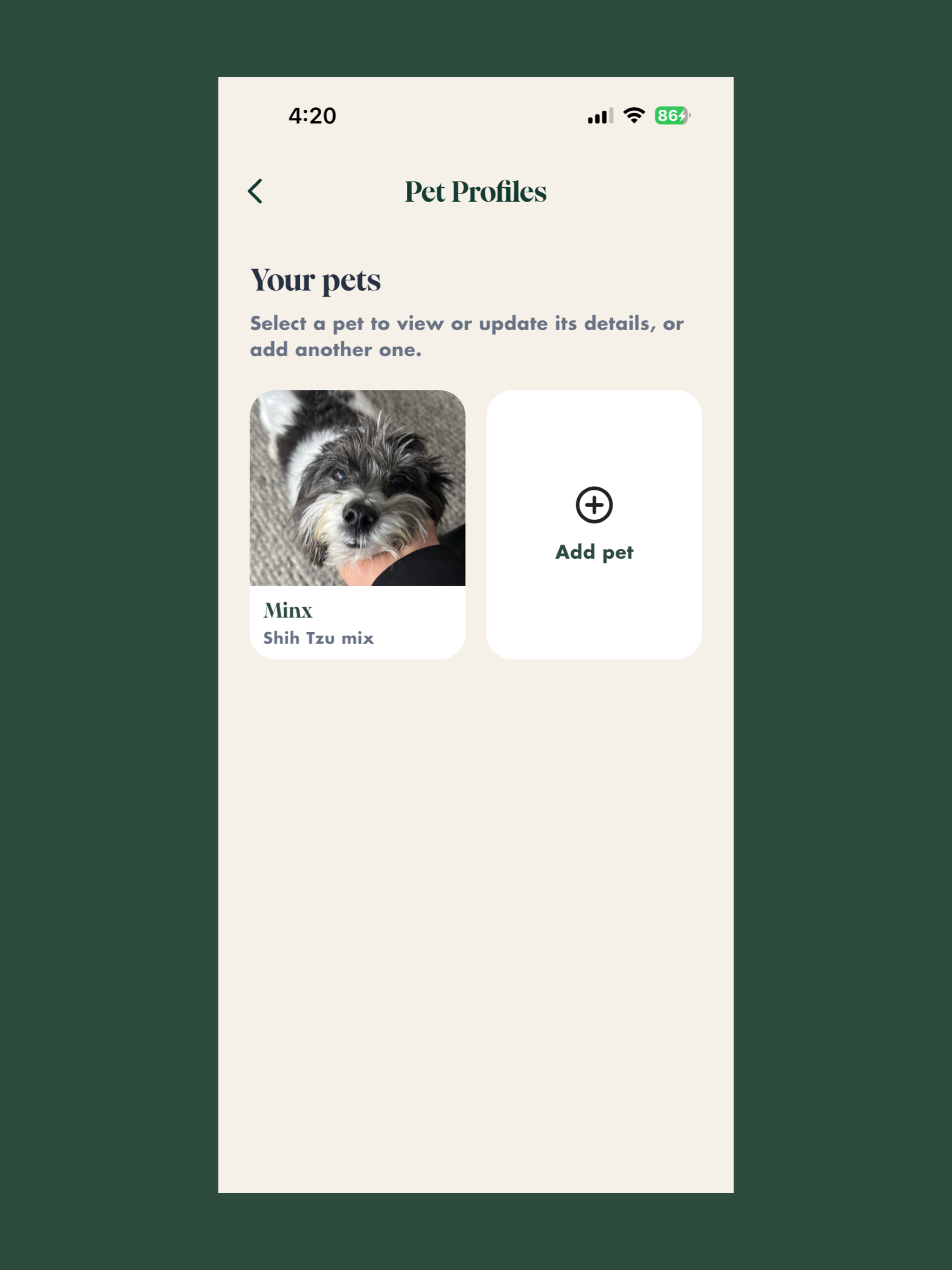 Dingla screenshot 10
