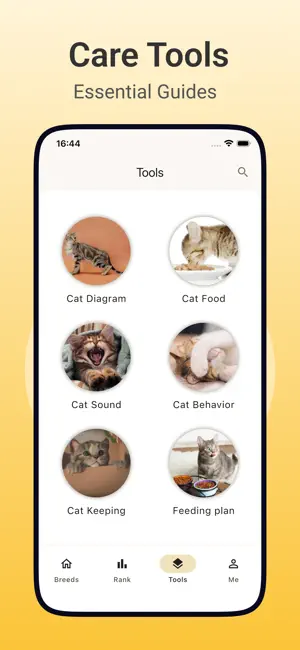 Cat Breeds Assistant screenshot 4