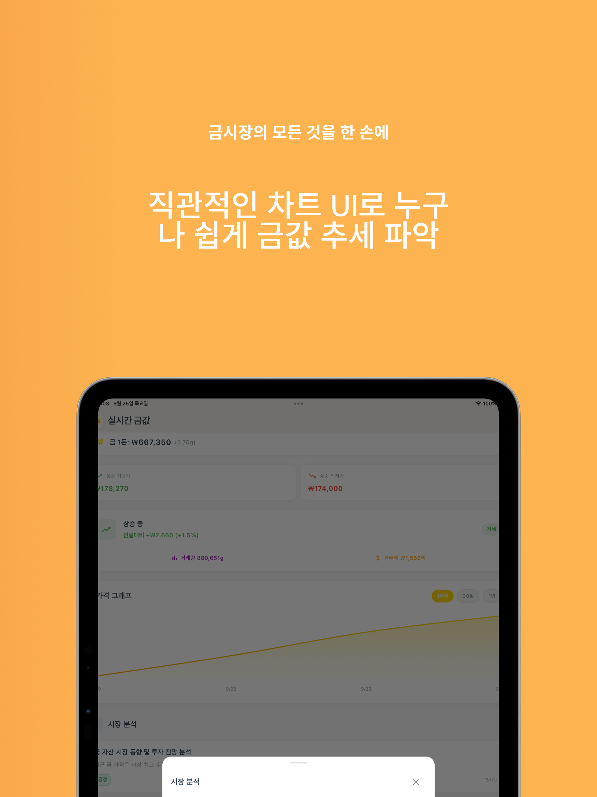 실시간 금값 - AI 시장 동향 요약, 금 시세 차트