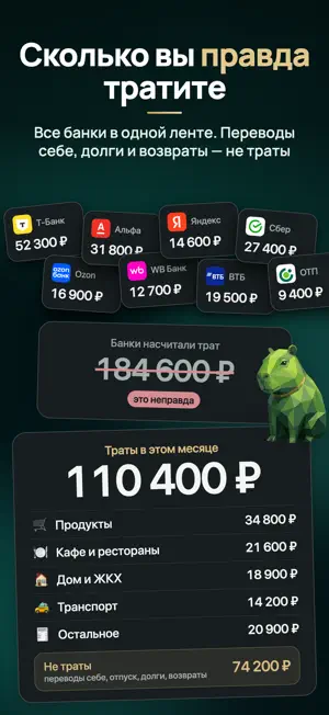Копибара: финансы и расходы screenshot 1