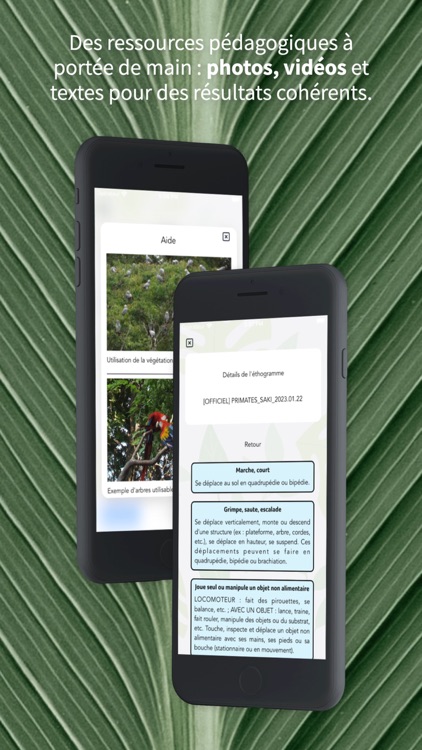 Akongo Welfare Monitor