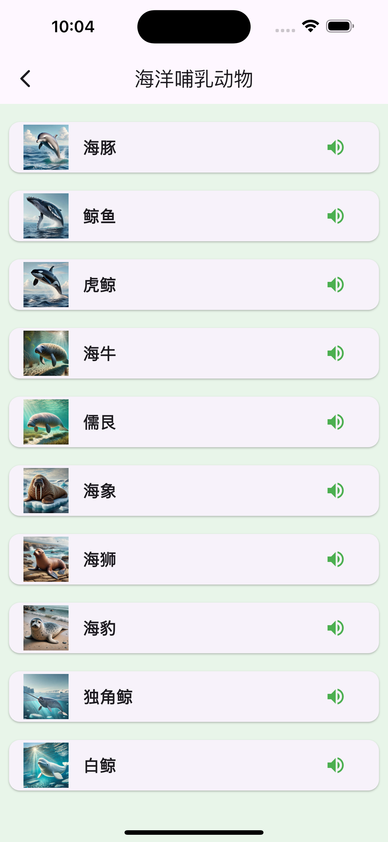 Animals Chinese Learn And Play