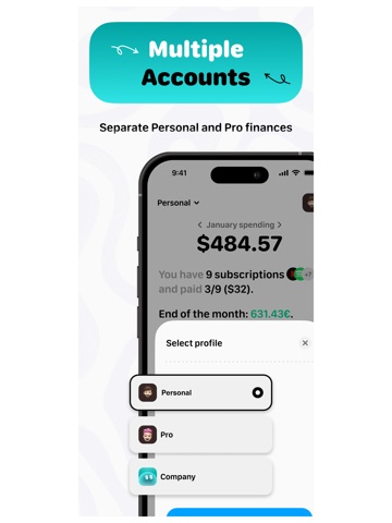 Sub buddy: track subscriptions iPad screenshot