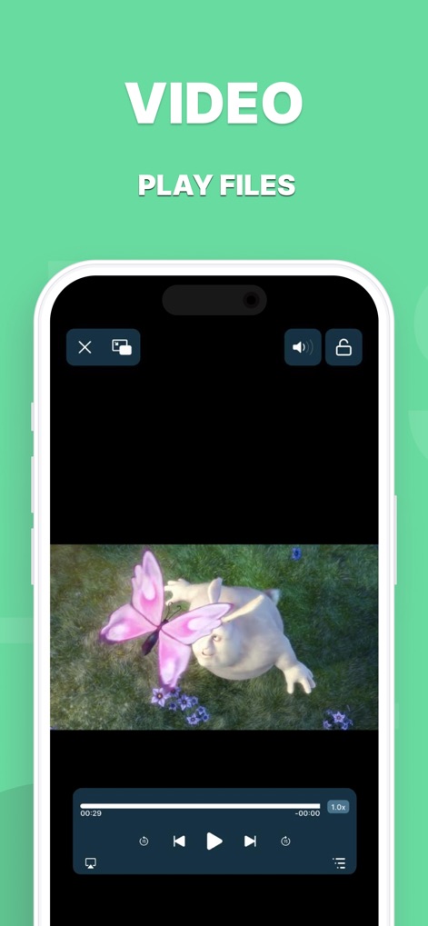 Browser & Offline File Storage - The app delivers a rich video experience, complete with intuitive playback controls and an option for immersive fullscreen viewing.