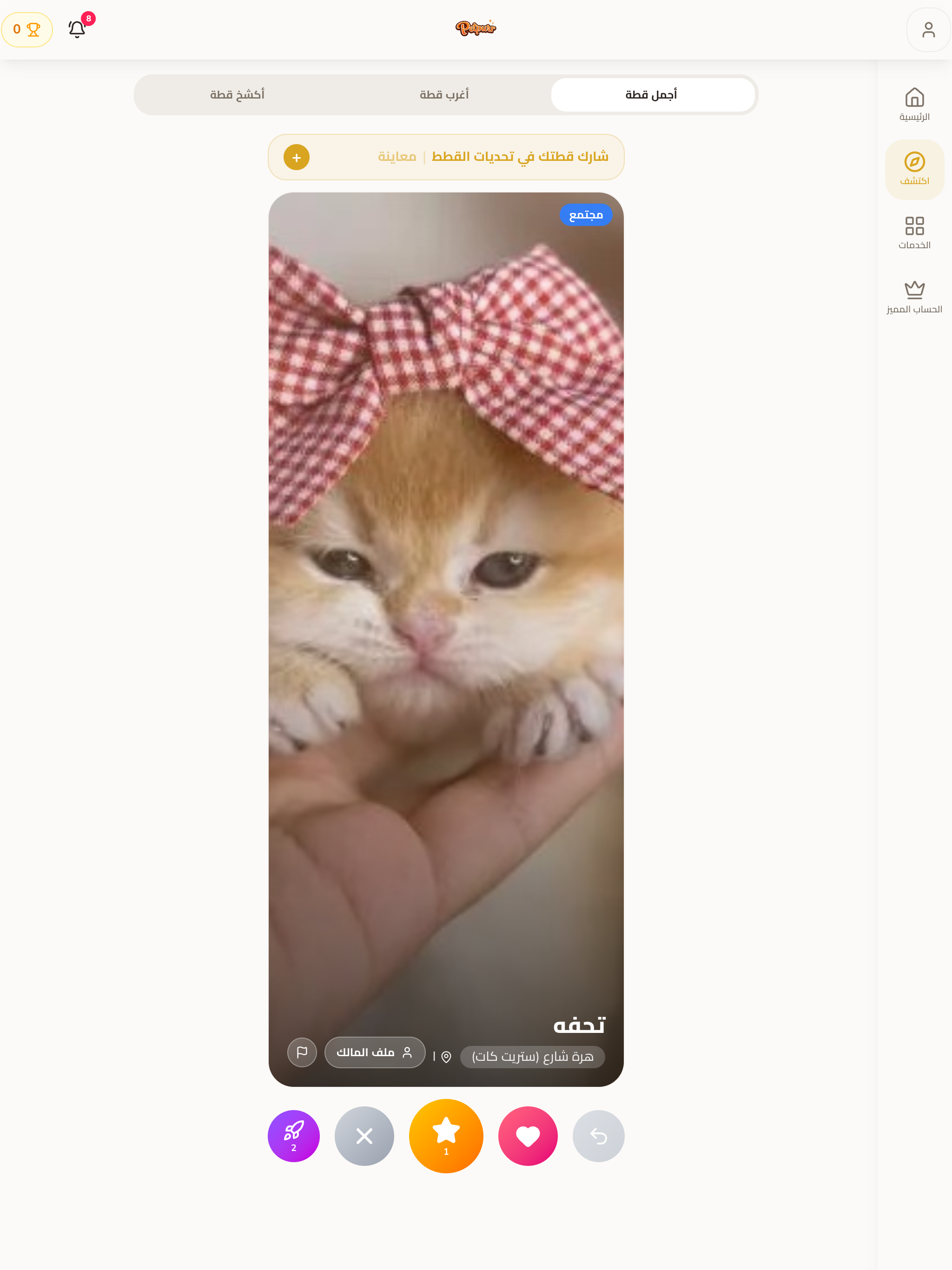 Petpurr screenshot 23