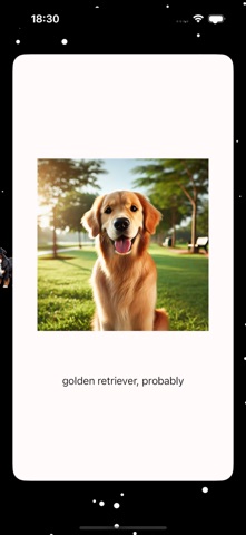 Dog and Cat - AI identifier screenshot