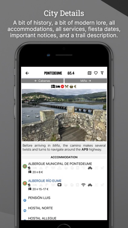 Wise Pilgrim Camino Inglés