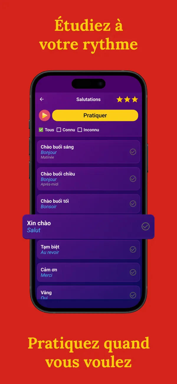 Screenshot #3 pour BNR: Apprendre le vietnamien