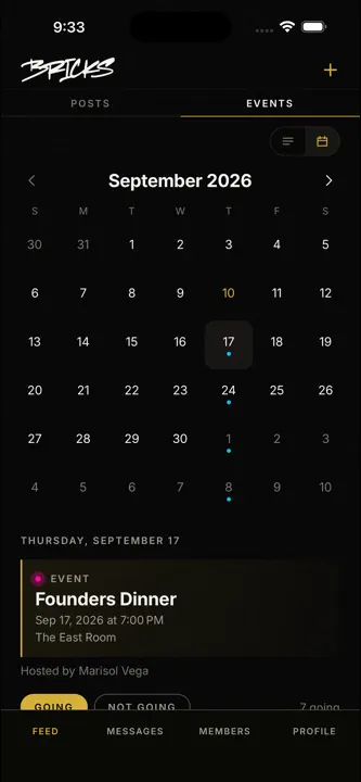 Bricks SLC screenshot 2