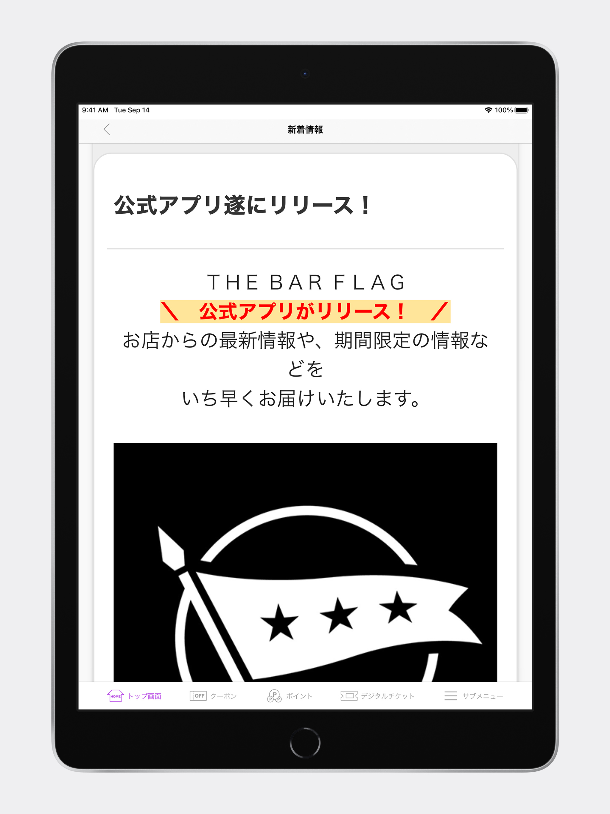 THE BAR FLAG screenshot 9