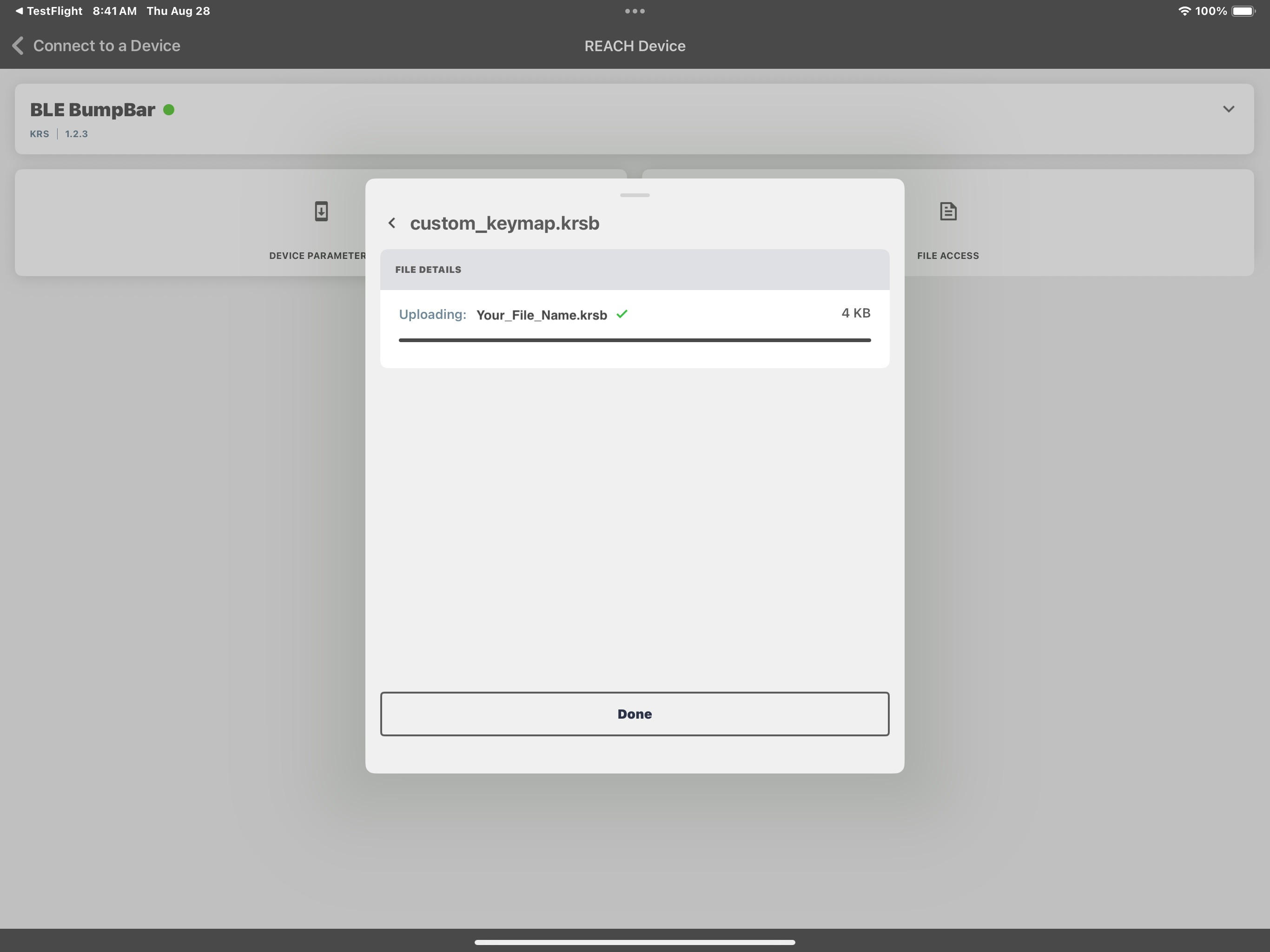 KRS Bumpbar Loader screenshot 12
