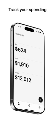 Numo: Income tracker Screenshot 1 of 5