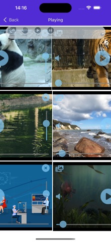 BrdHub screenshot