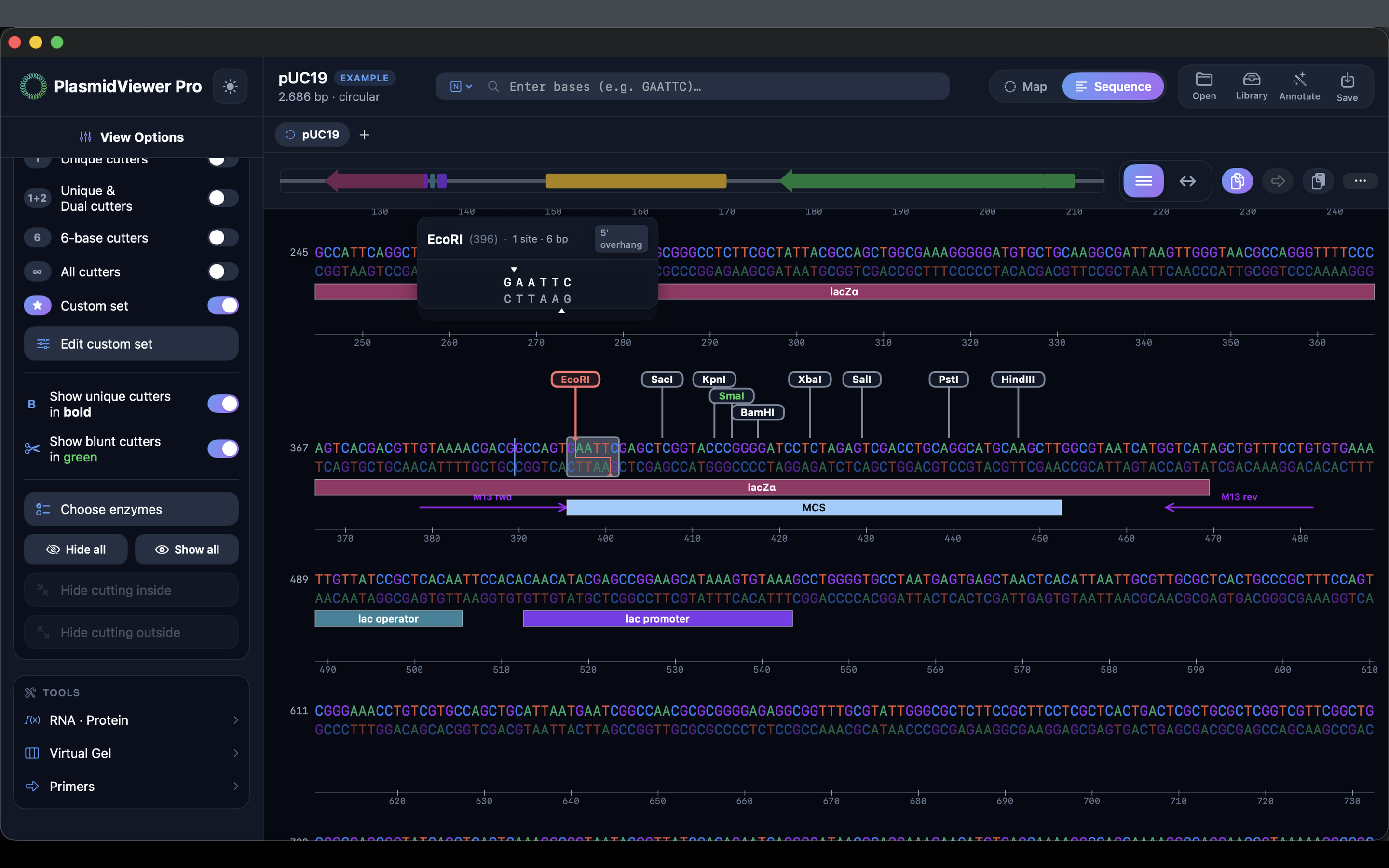 PlasmidViewer Pro screenshot 23