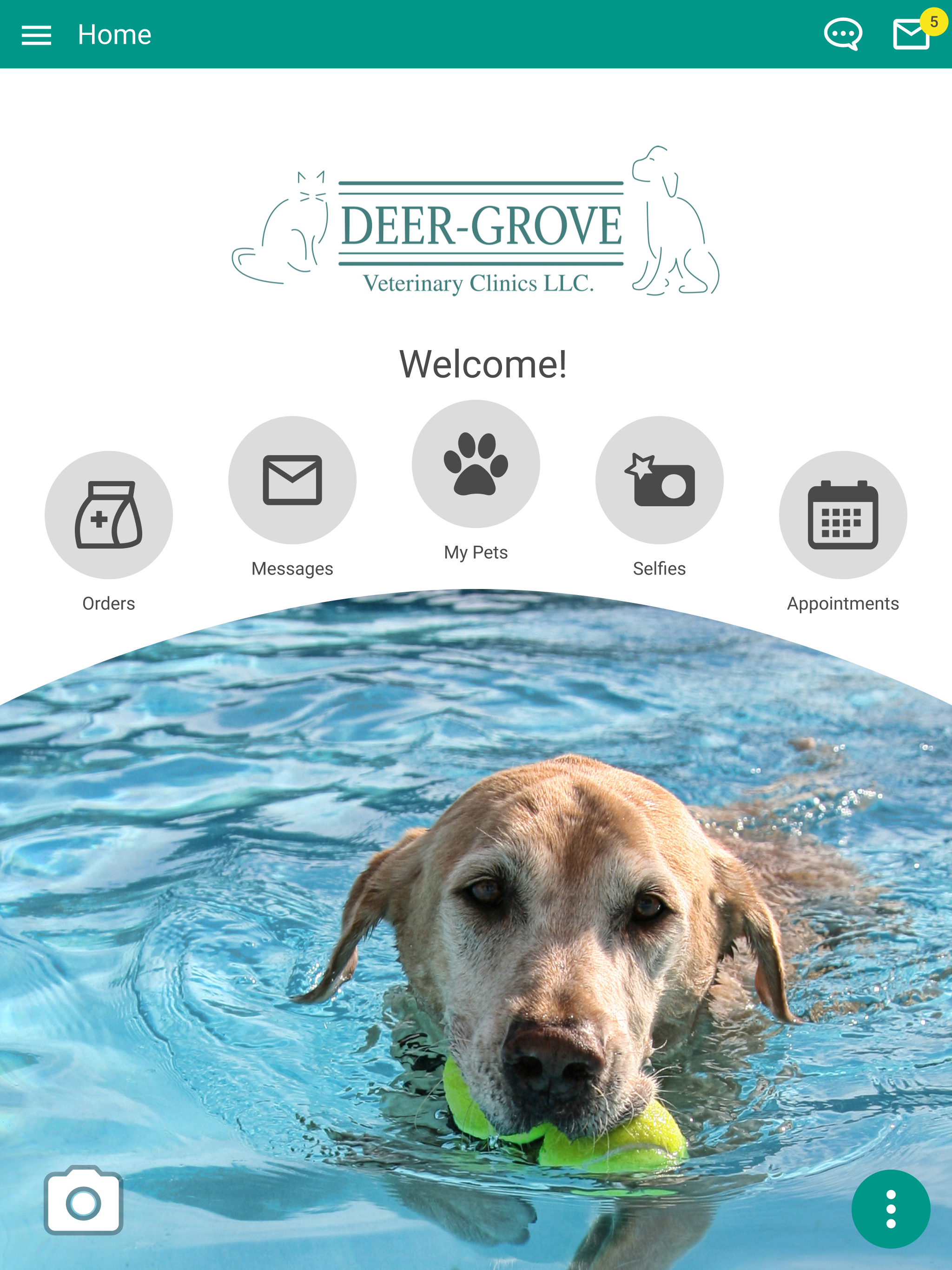 Deer Grove Vet Clinic screenshot 11