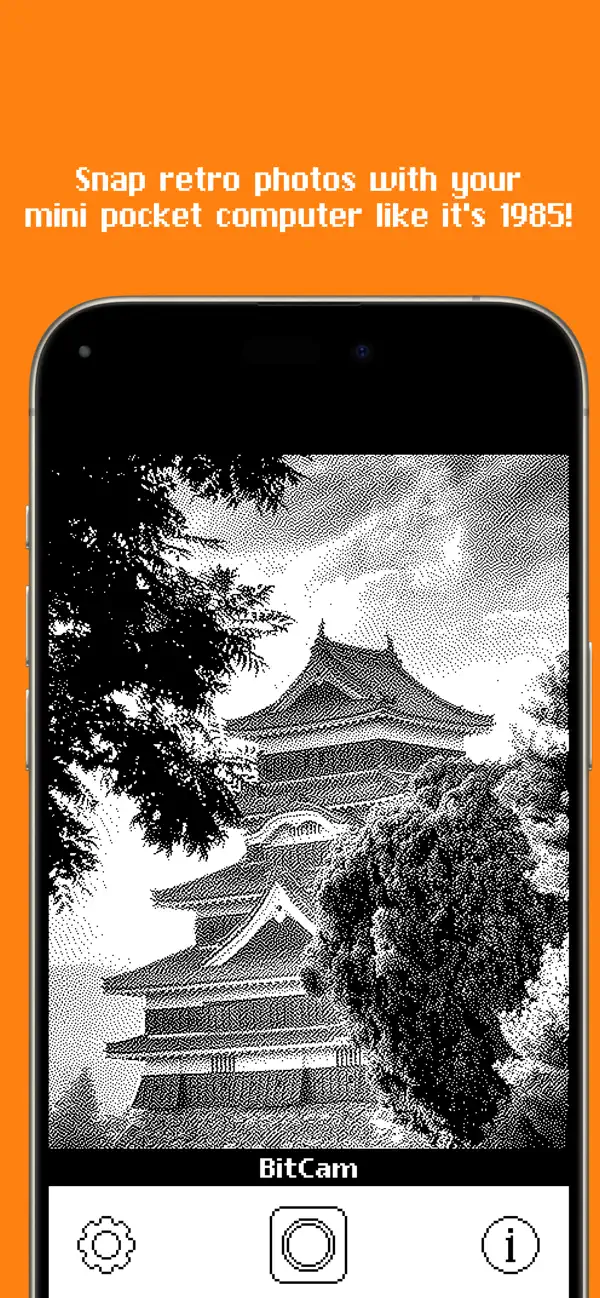 Screenshot #1 pour BitCam