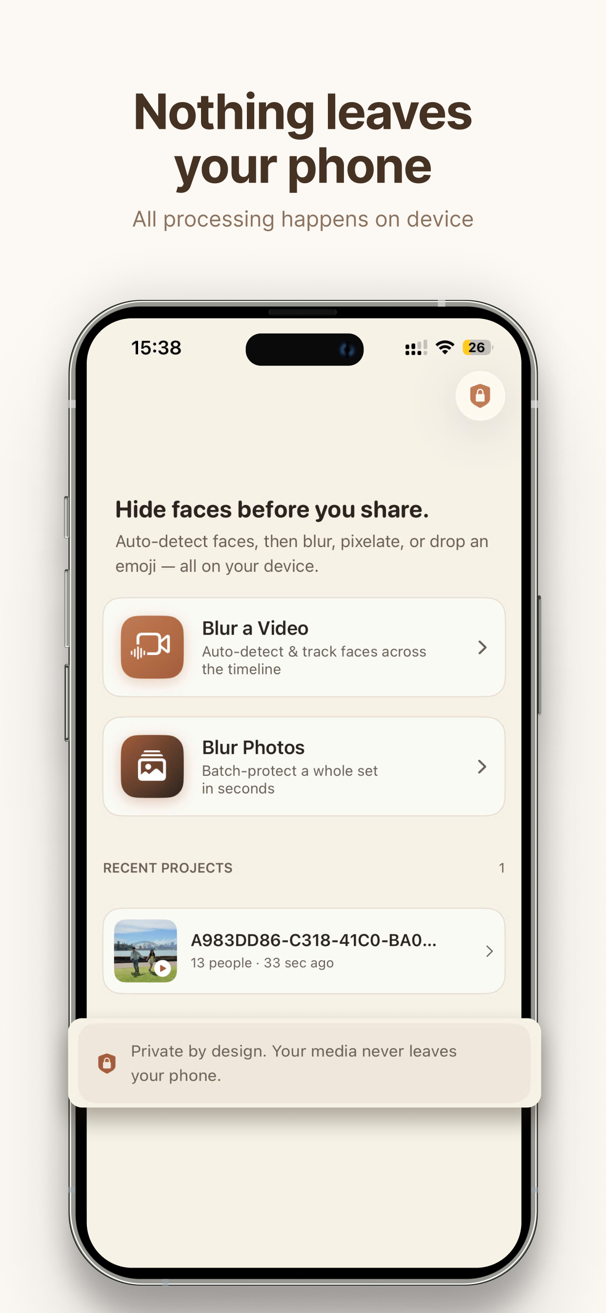 Blur It: Face Mosaic & Video screenshot 3
