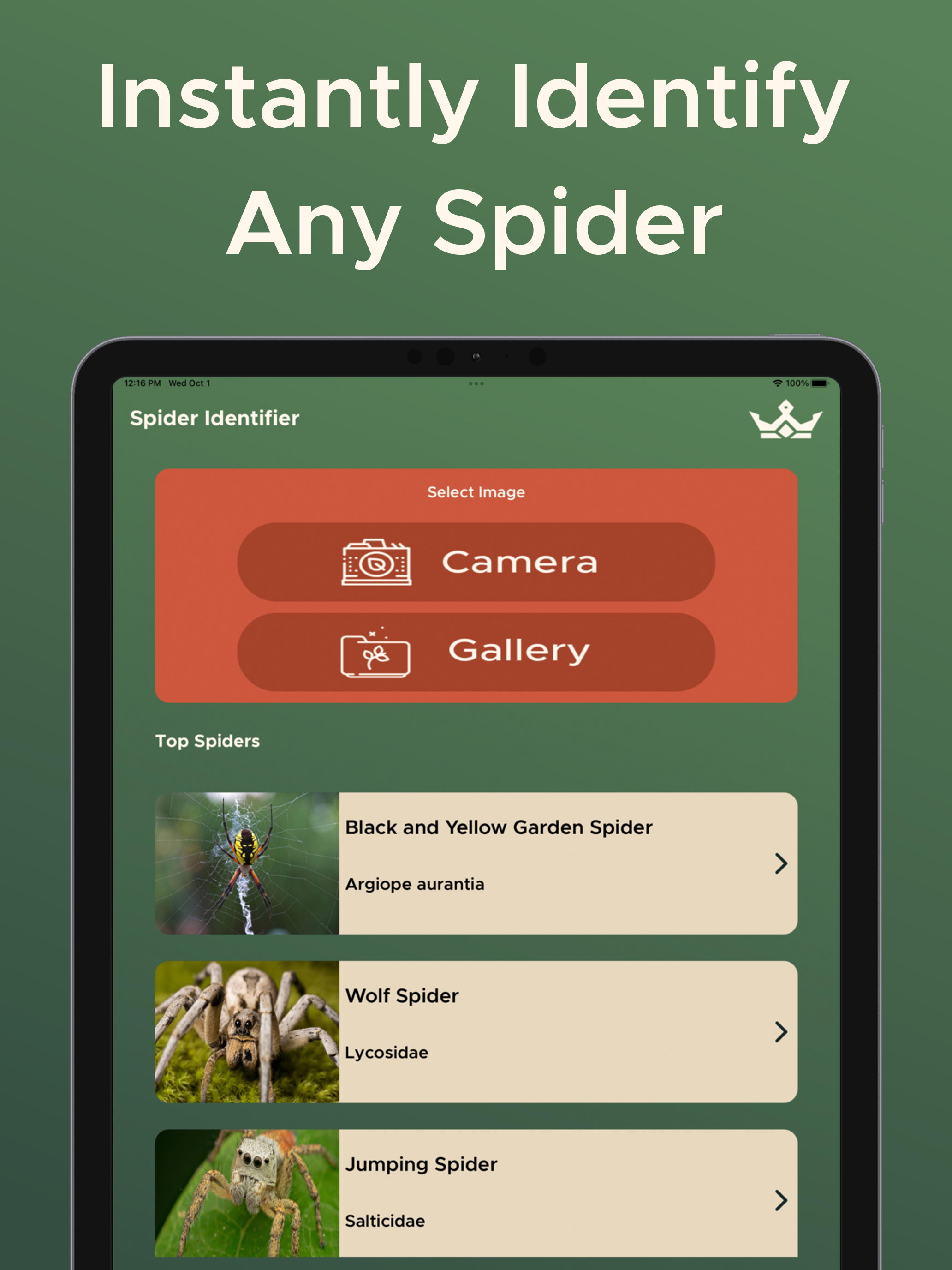 Spider Identifier: Scanner